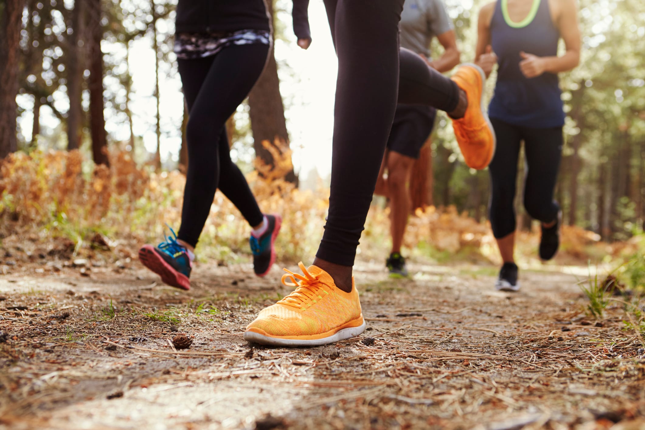 Legs and shoes of four young adults running in forest Legs and shoes of four young adults running in forest, crop